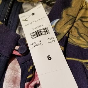 Ann Taylor Dress